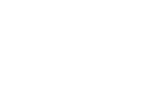The Falconeer