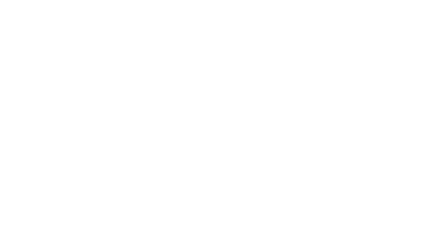 SIGNALIS