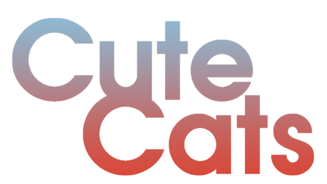 Cute Cats