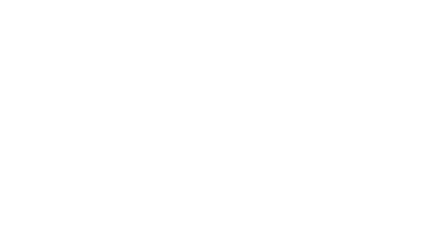 UNDETECTED
