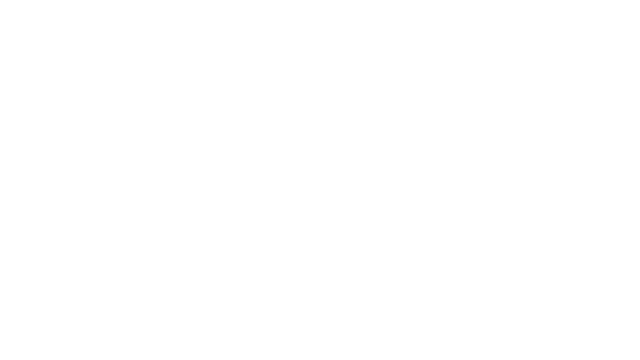 DSX