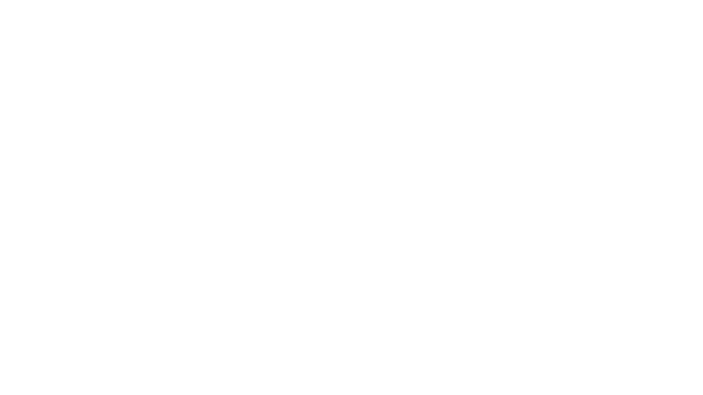 TRIANGLE STRATEGY