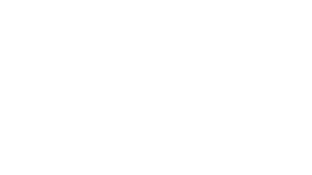 VOIN