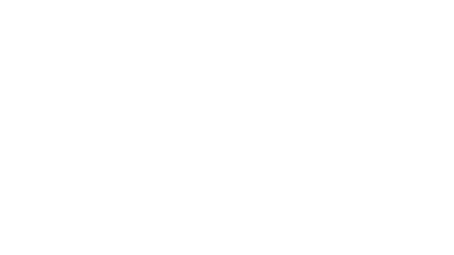 The Precinct